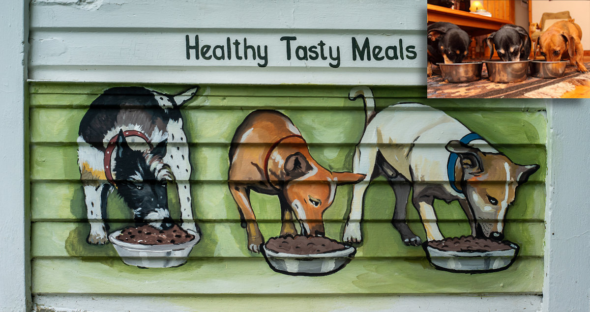 Healthy, Tasty Meals