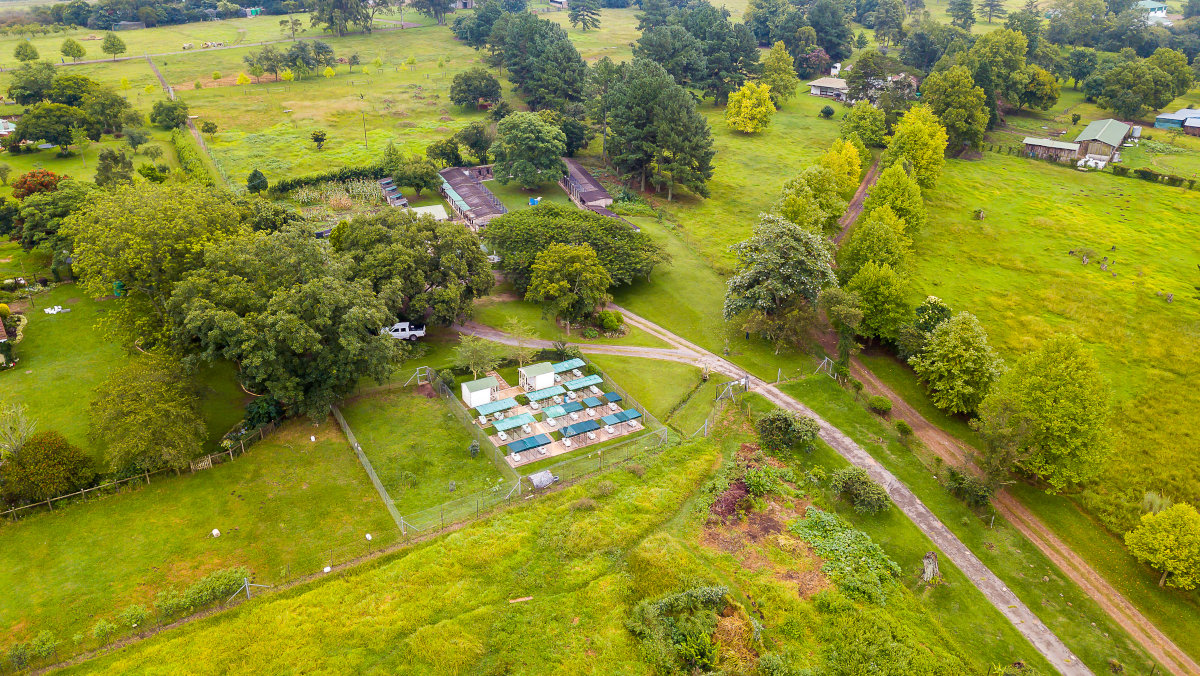 View of the grounds from the air