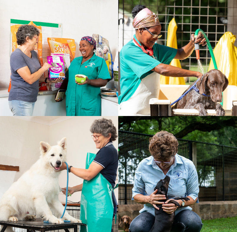 Liz with the staff and dogs