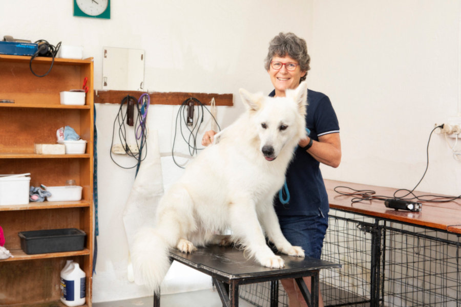 Liz grooming a Swish Shepard on a table in the clipping room